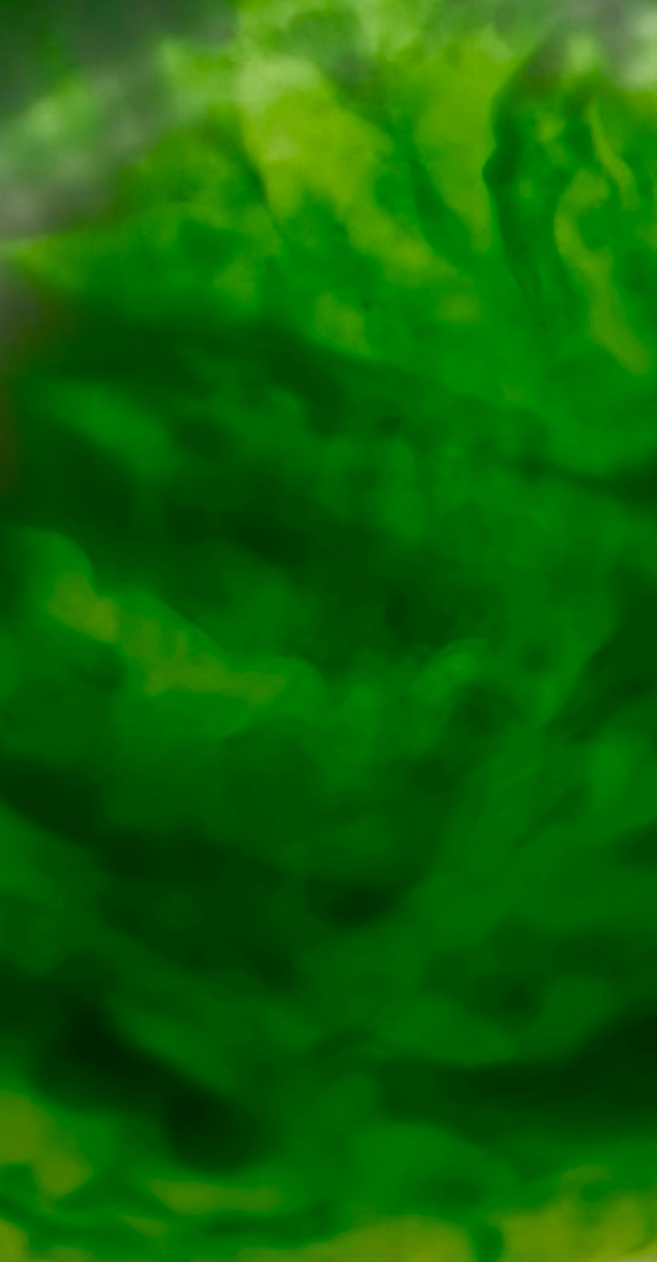 Emerald Green
